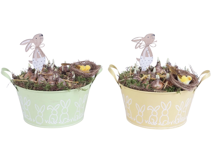 <h4>Easter Arr. Narcis Zinc Pot Round Bunny Relief Ø21cm</h4>