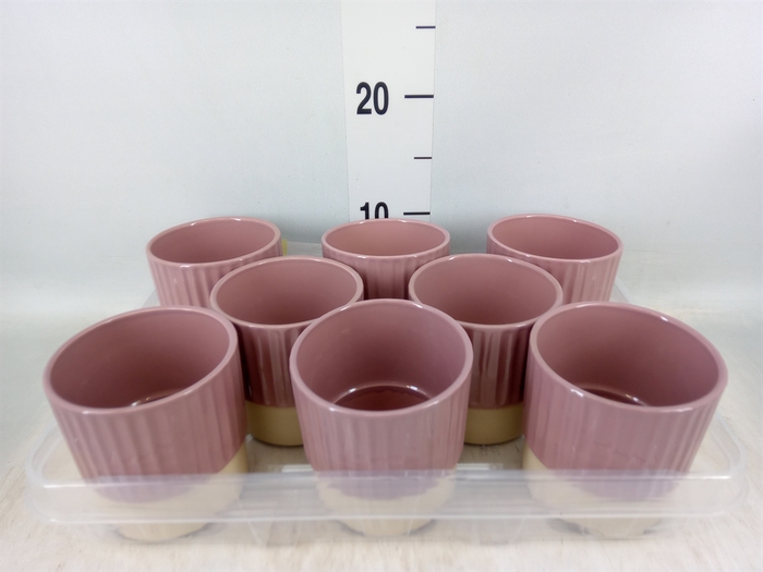<h4>Pot   ...Keramische H%</h4>