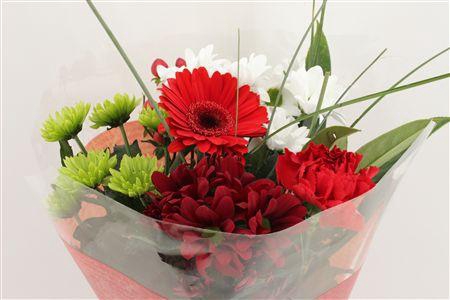 <h4>Boeket Micro Rood</h4>