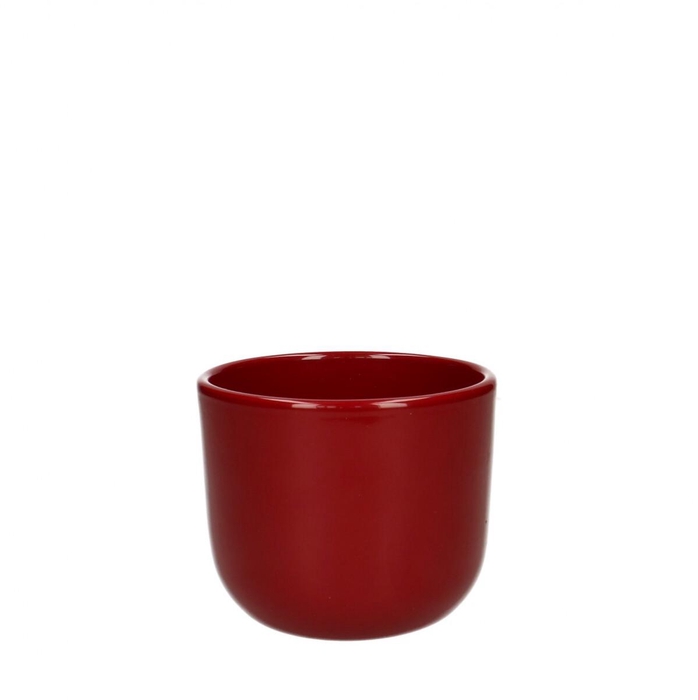 <h4>Promo Davina pot d10*8.5cm</h4>