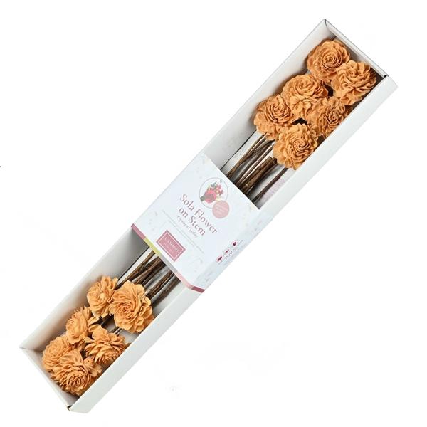 <h4>Sola Dahlia 8cm O/s 12 Pc Burnt Orange</h4>