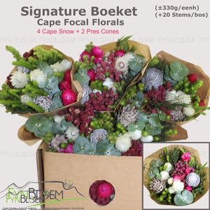 KAAPS GROE GEM IN BS