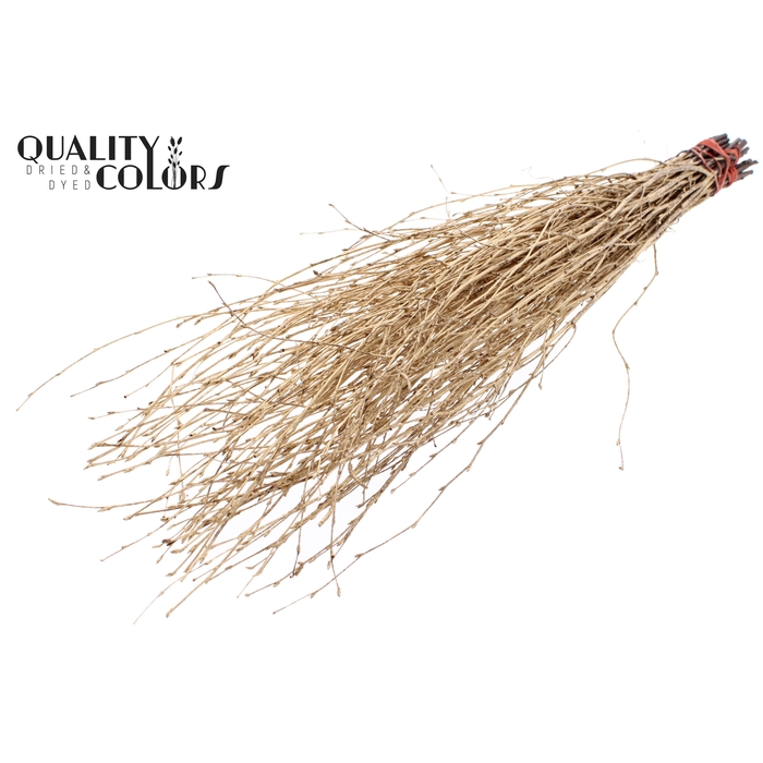 <h4>Birch 70cm 10stems per bunch Antique Gold</h4>