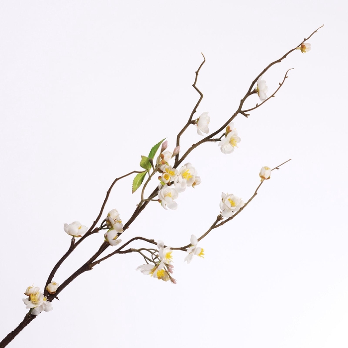 <h4>Plum Blossom Spray Cream FL440283CRM</h4>