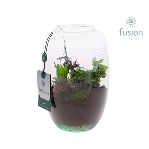 Green Bottle Isabella Small met Hyacint arrangement