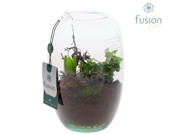 <h4>Green Bottle Isabella Small met Hyacint arrangement</h4>