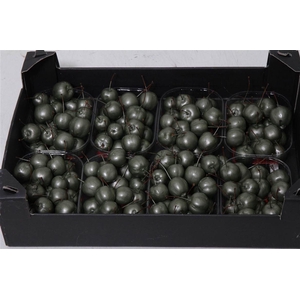 Appel (wax) X8 Green Mettalic