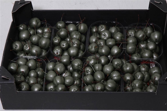 <h4>Appel (wax) X8 Green Mettalic</h4>