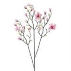<h4>Magnolia branch Osaka pink 123cm</h4>
