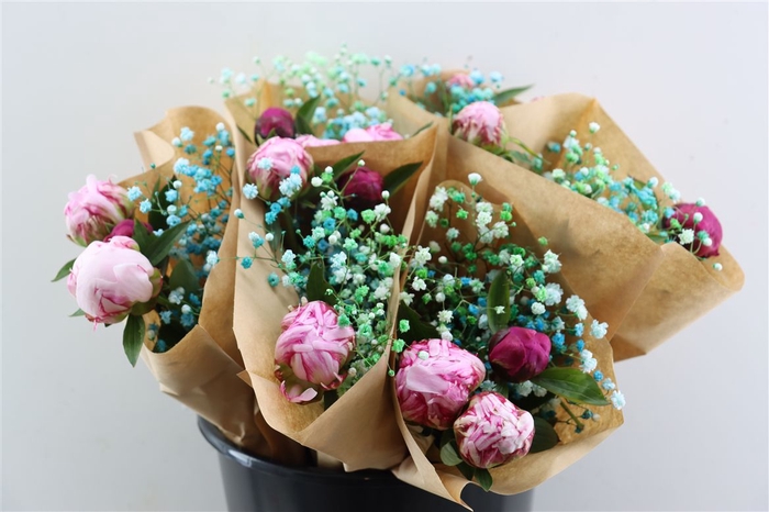 <h4>Bqt Peony New York</h4>