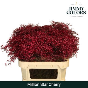 Gyps Million Star L80 Cherry
