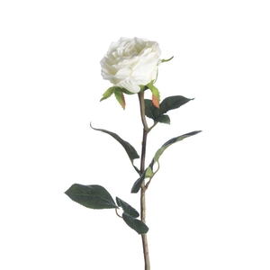 AF Rosa L68cm White