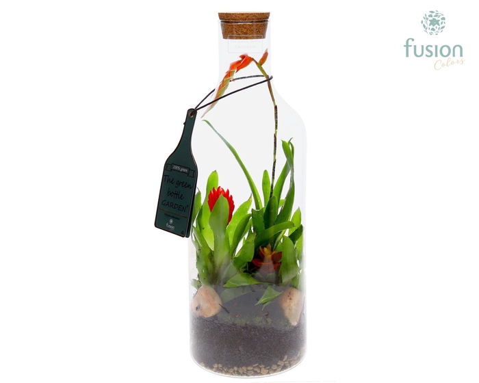 <h4>Green Bottle Fles Medium met Bromelia</h4>