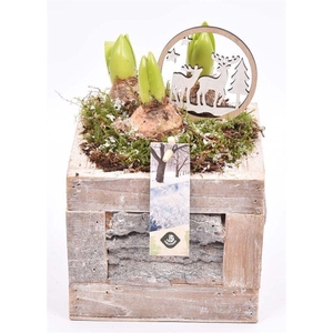 Hout met boomschors 15x15cm