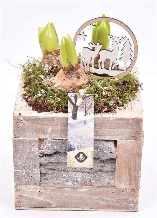 <h4>Hout met boomschors 15x15cm</h4>