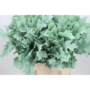 Eik Grof Frost Mint