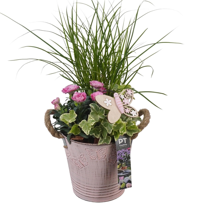 <h4>PTPP6804 Arrangement Patio in metalen bak</h4>