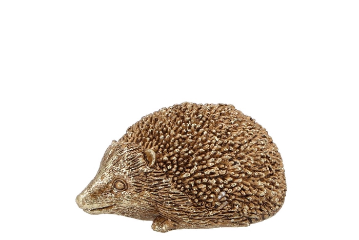 <h4>Hedgehodge Gold Polystone 9x6x4cm Nm</h4>