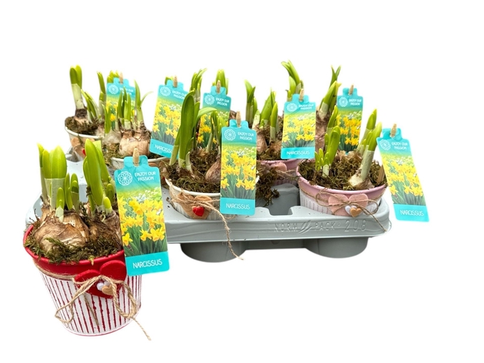 <h4>ARR N TETE A TETE</h4>