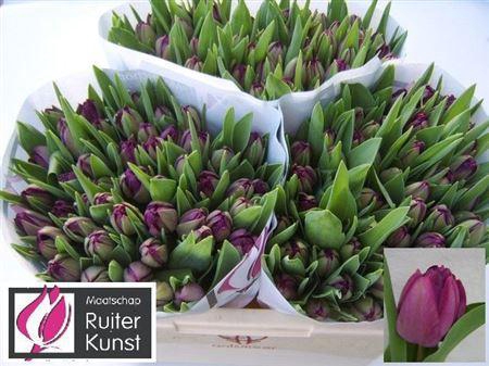 <h4>Tu Du Blue Diamond</h4>