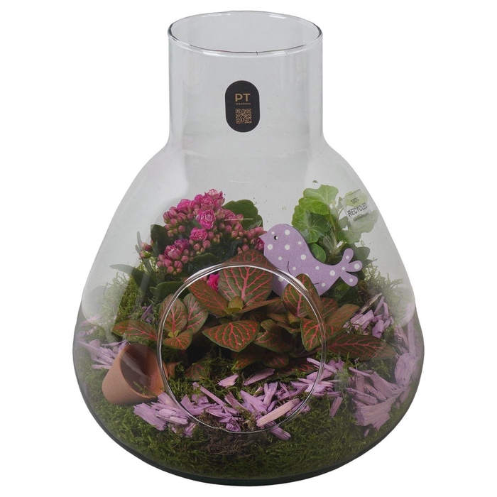 <h4>2636 PAARS BOTANIC + GAT</h4>