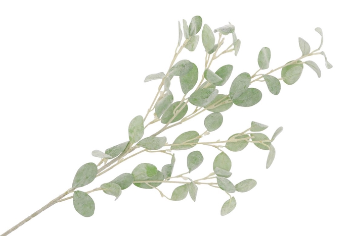 Soie Eucalyptus Branche Vert 20x89cm