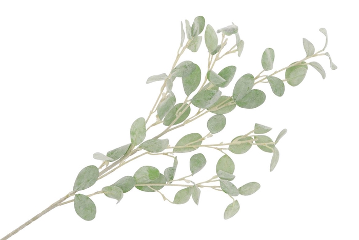 Silk Eucalyptus Branch Green 20x89cm