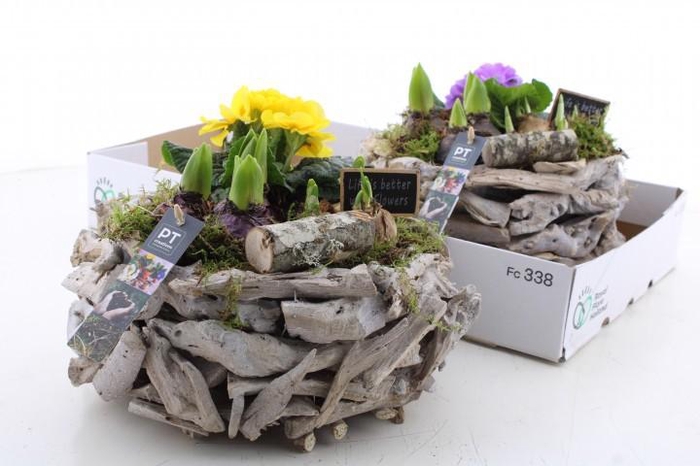 <h4>ARR PL IN SCHAAL</h4>