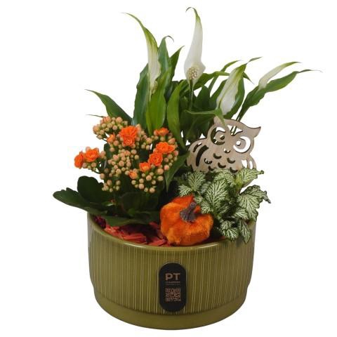 <h4>PTHI3210 Arrangement Autumn Indoor in keramiek schaal</h4>