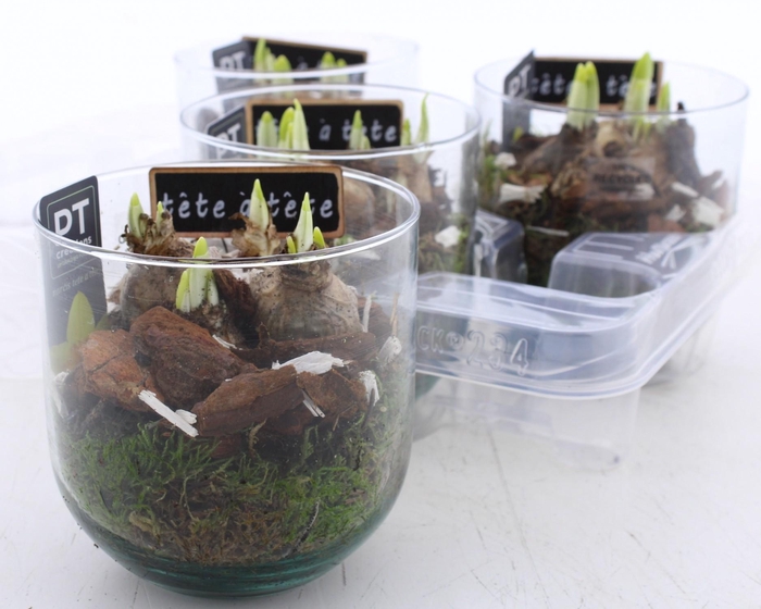 <h4>ARR N TETE A TETE</h4>