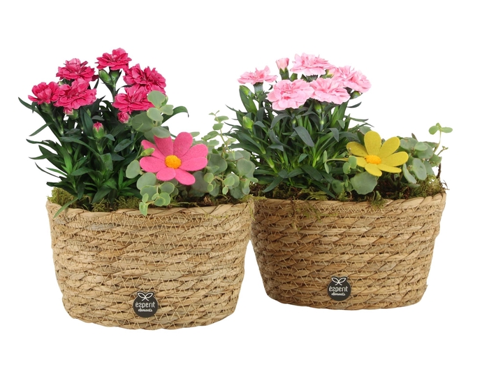 <h4>31701: Outdoor summer arrangement</h4>