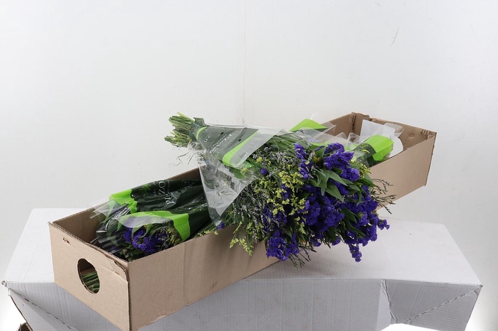 <h4>Gem Boeket Ov</h4>