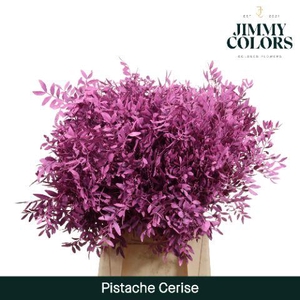 Pistache L50 Cerise