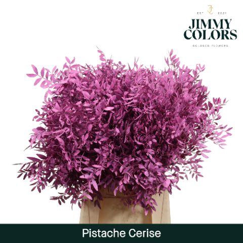 <h4>Pistache L50 Cerise</h4>
