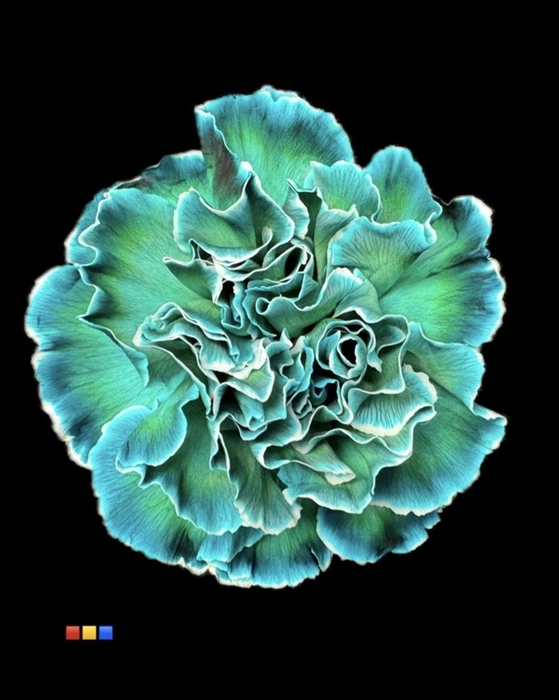 <h4>Di St Tinted Ocean Green</h4>
