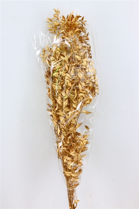 <h4>Dried Ruscus Nat Antique Gold Glitter</h4>