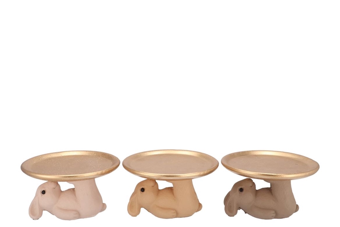 <h4>Easter Rabbits Natural Brown Mix Plate Ass 20x20x12cm</h4>