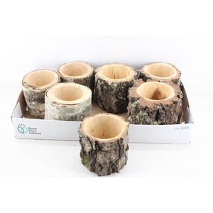 arr3 GB - Schors pot x7