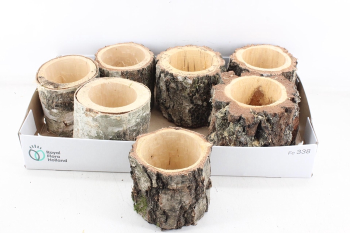 <h4>arr3 GB - Schors pot x7</h4>