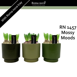 Hya Rom 1457 Mossy Moods