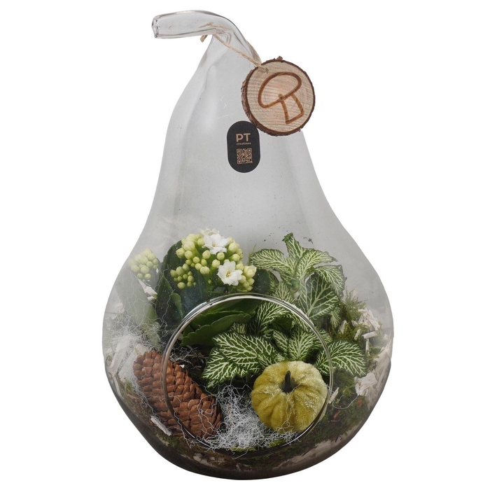 <h4>Arr.   Planten H%</h4>