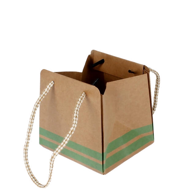 <h4>Bag Sporty carton 9.5x8.5xH9.5cm light green 20/bag</h4>