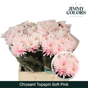Chr G Topspin Soft Pink