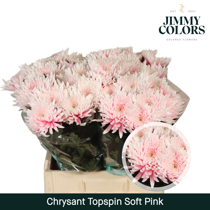 <h4>Chr G Topspin Soft Pink</h4>