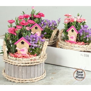 ARR TUINPLANTEN