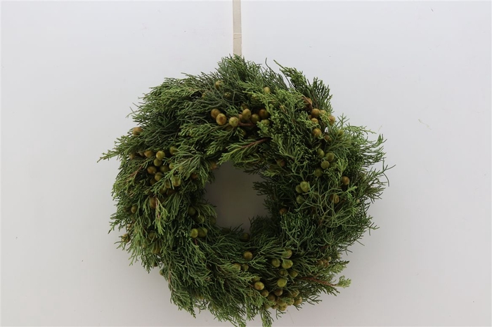 <h4>Wr Juniperus Bes 30cm</h4>