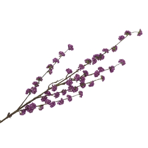 Silk Berry Callicarpa Dark Purple 130cm