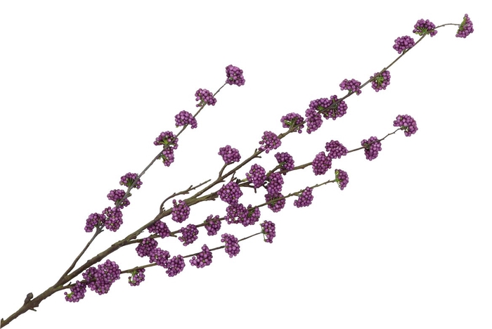 <h4>Silk Berry Callicarpa Dark Purple 130cm</h4>