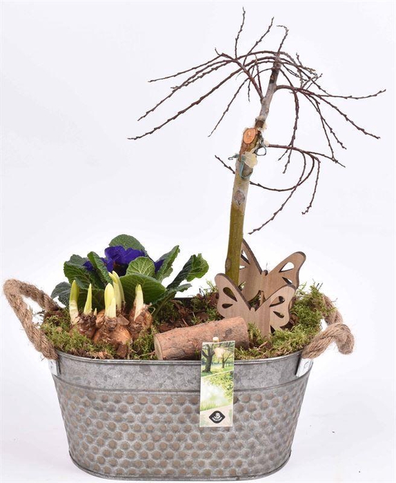 <h4>Zink ovaal 26x15,5 old look</h4>