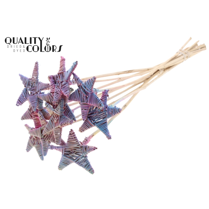 <h4>Lata Star on stem Gradient Pink</h4>
